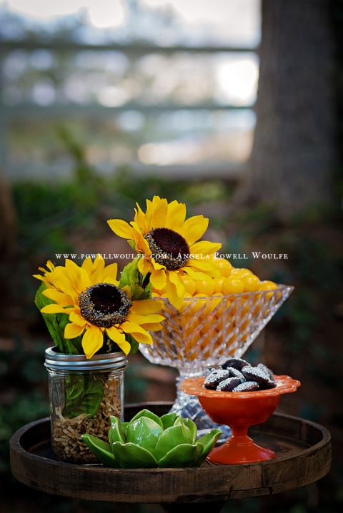 WPPI 2015 Couture Clicks Sunflower Shootout - Angela Powell Woulfe, Washington DC Wedding Photographer