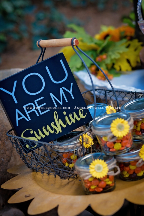 WPPI 2015 Couture Clicks Sunflower Shootout - Angela Powell Woulfe, Washington DC Wedding Photographer