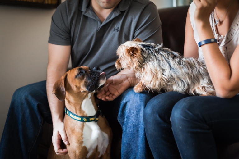 Couples Photography | Maryland Engagement & Wedding Photographer