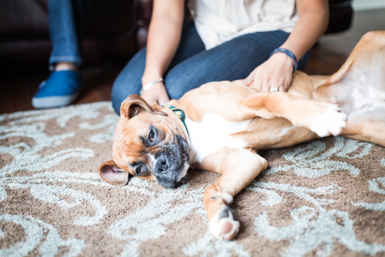 Couples Photography | Maryland Engagement & Wedding Photographer