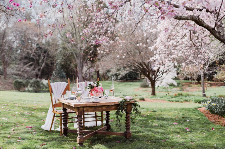 Cherry Blossom Wedding Event